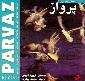 Fariborz Lachini - Flying